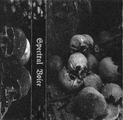 Spectral Voice : Spectral Voice